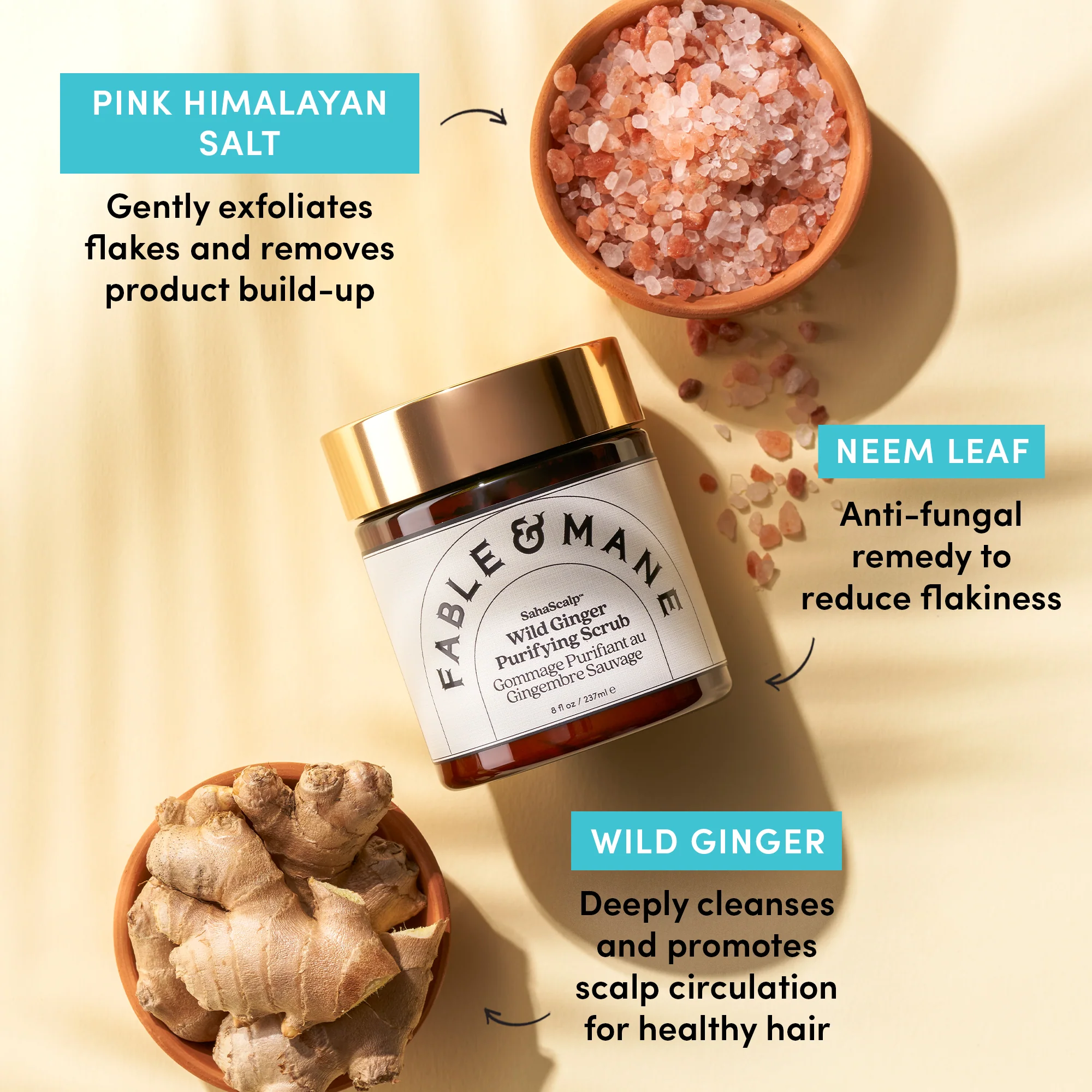 SahaScalp™ Wild Ginger Purifying Scrub - Image 8